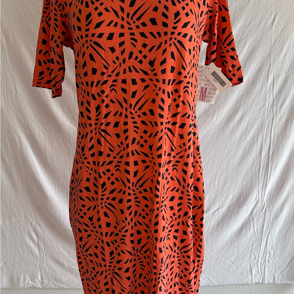 Coral 🪸 geometric Julia LLR
